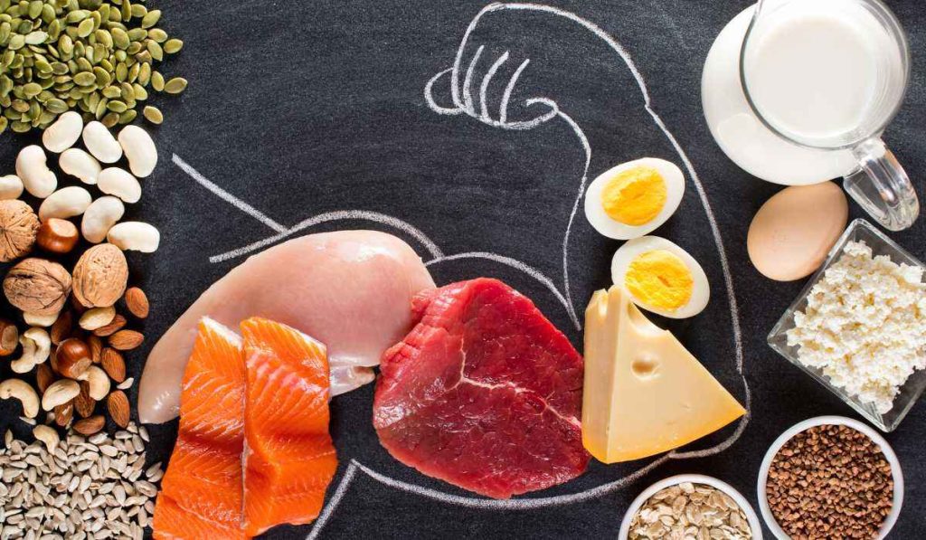 پروتئین برای عضله سازی