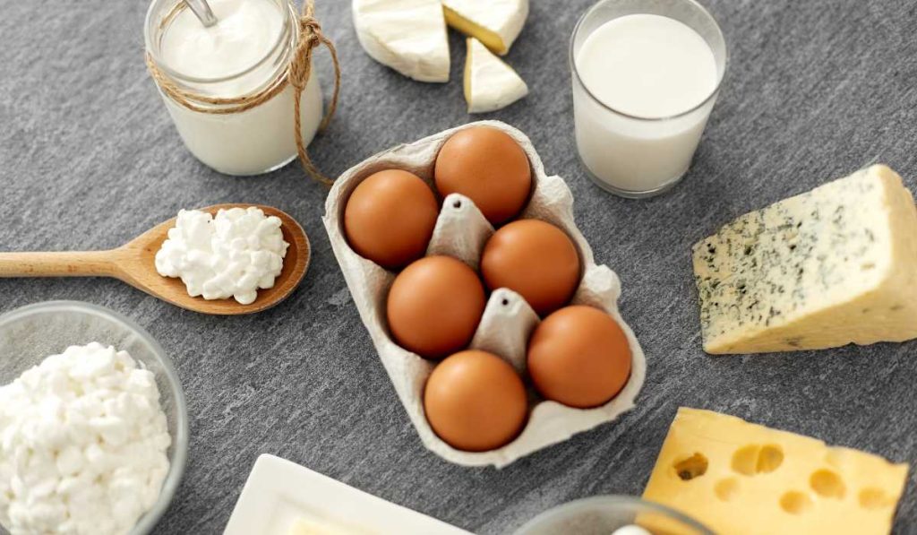 خواص و مضرات کشک در بدنسازی 3 کشک در بدنسازی