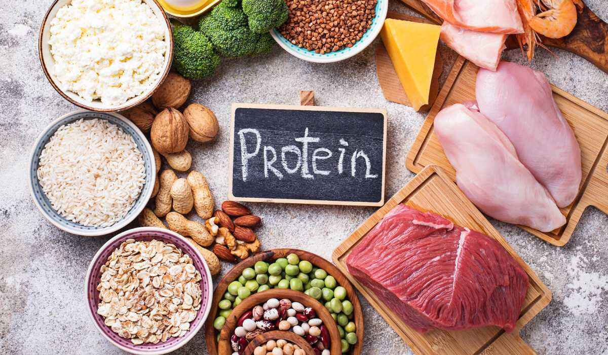 بهترین پروتئین برای عضله سازی (2)