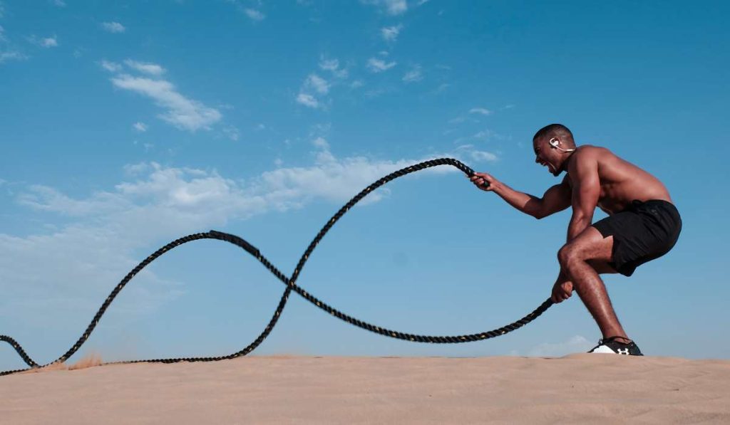 سیستم تمرینی رست پاز 1 سیستم تمرینی رست پاز چیست