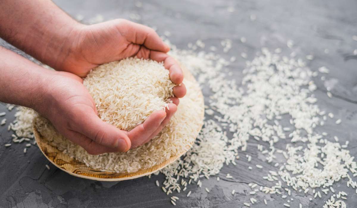 جایگزین‌های برنج در رژیم کتوژنیک