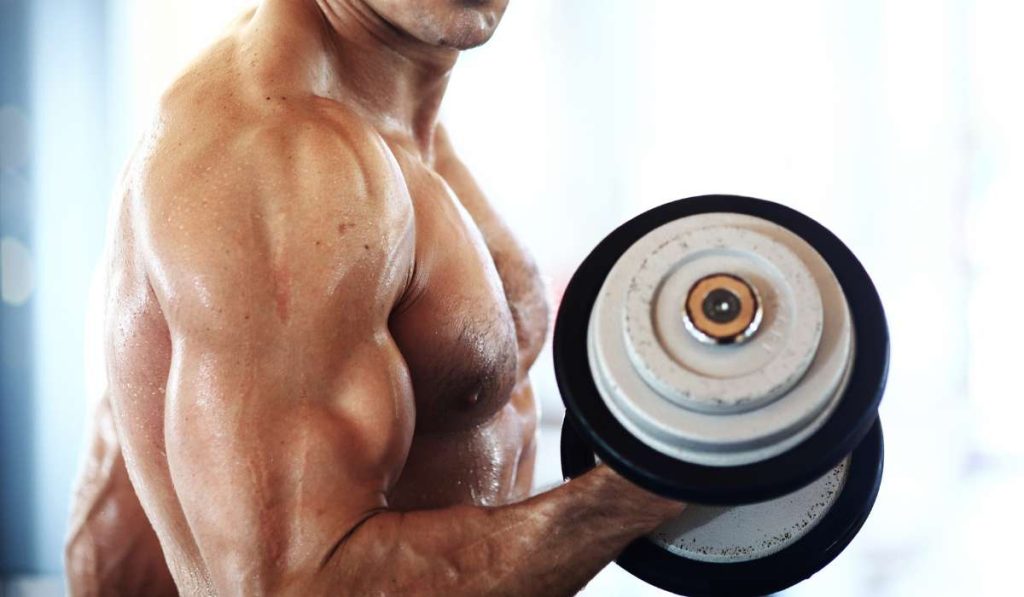 تمرینات هیپروترافی در بدنسازی