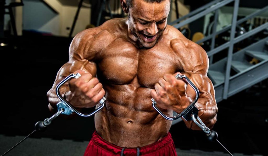 رشد عضلات در هایپرتروفی