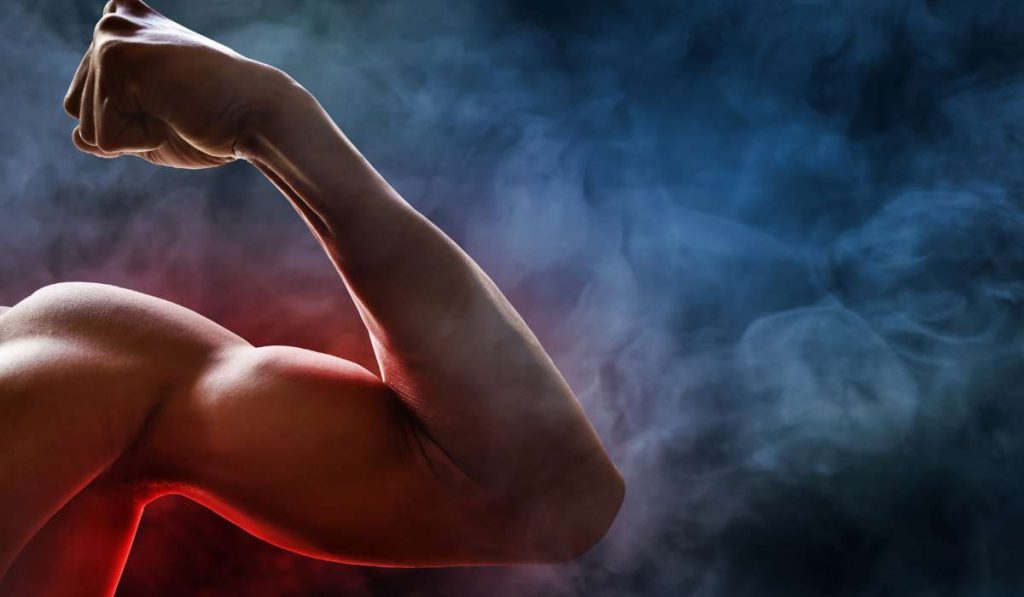 راه های افزایش توده عضلانی 3 افزایش توده عضلانی